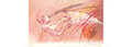 1988 Litografia. Llibre Objecte. Marta Pessarrodona, escriptora 255x285x60 mm